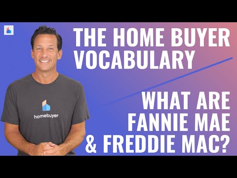What Are Fannie Mae &Amp;Amp; Freddie Mac?