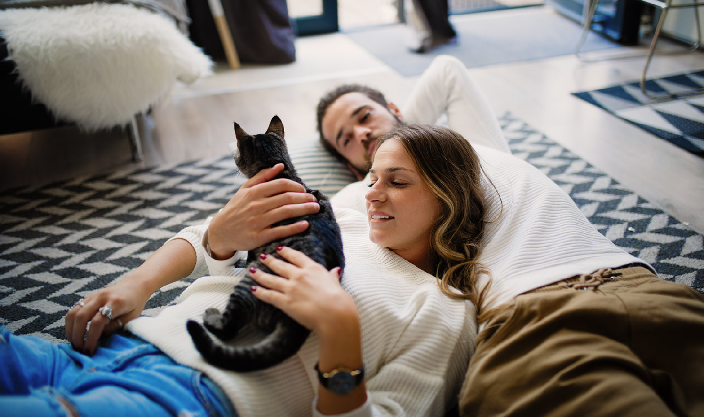 First-time home buyers cuddle with a stray cat they found in the garage of their new home but they're really more of a dog family