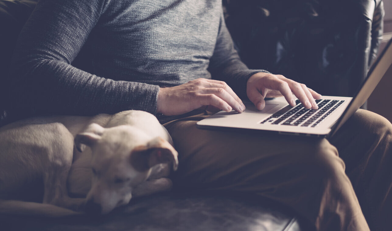 Man With His Dog And Laptop Works At Home Reading About Medical Debt And His Credit Score